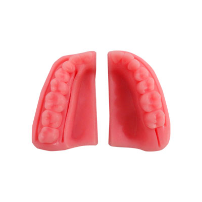 Modelos para sutura. Deposito Dental Dentalmex Online